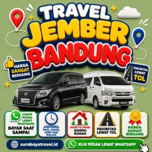 Travel Jember Bandung Berapa?🍁 Ternyata Harga Tiket Murah, Cek Ini