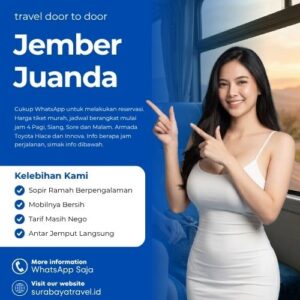Travel Jember ke Juanda Berapa?🍁 Ternyata Harga Tiket Murah, Cek Ini