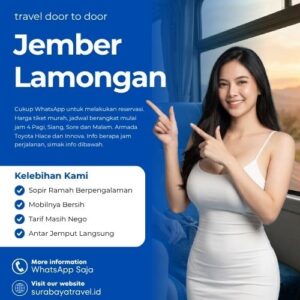 Travel Jember Lamongan Berapa?🍁 Ternyata Harga Tiket Murah, Cek Ini