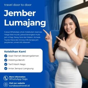 Travel Jember Lumajang Berapa?🍁 Ternyata Harga Tiket Murah, Cek Ini