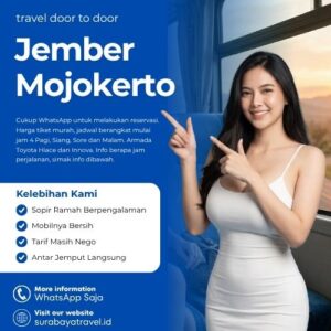 Travel Jember Mojokerto Berapa?🍁 Ternyata Harga Tiket Murah, Cek Ini