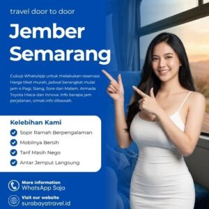 Travel Jember Semarang Berapa?🍁 Ternyata Harga Tiket Murah, Cek Ini